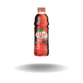 Jana Eistee Waldfrucht Preiselbeere 500ml